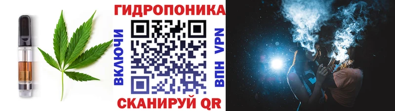 Canna-Cookies конопля  Купить закладки  Гагарин 