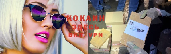 шишки Куйбышев