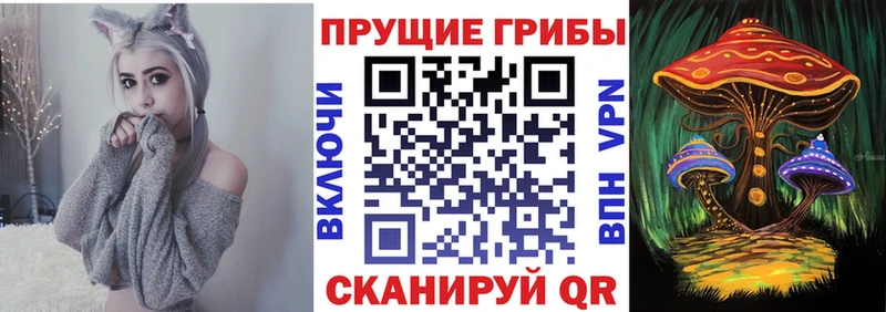 Псилоцибиновые грибы Psilocybe  Купить закладки  Гагарин 