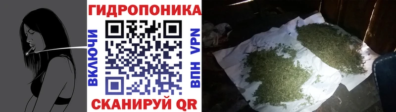 Купить  Гагарин  Конопля планчик 